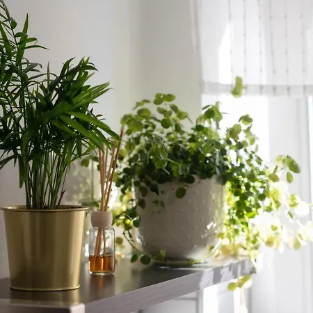 Három A Kislány Appartement Sárospatak