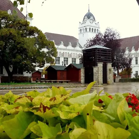 Harom A Kislany Vendeghaz * Sárospatak