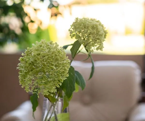 Harom A Kislany Vendeghaz *