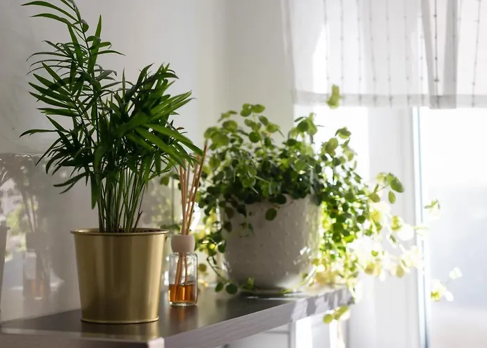 Harom A Kislany Vendeghaz Lejlighed Sárospatak