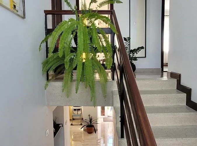 Harom A Kislany Vendeghaz *